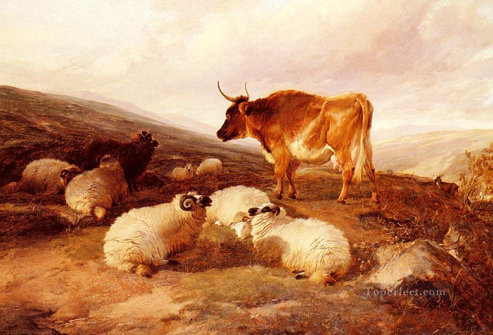 Béliers et a taureau dans a highland Peintures à l'huile